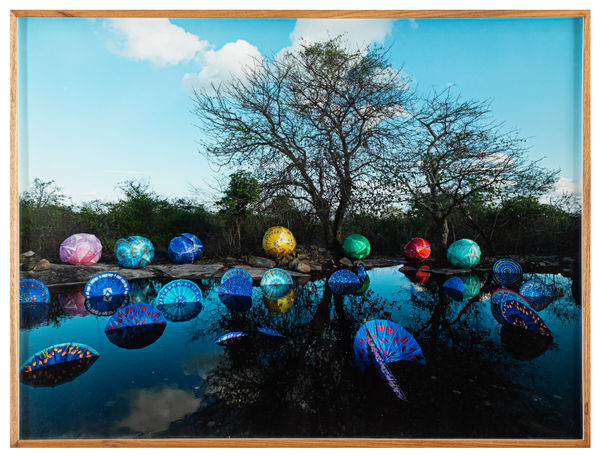 Delson Uchoa Série Bicho da Seda, 2012-2013 Impressão em papel fotográfico 75 x 100 cm