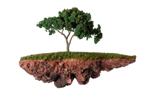 Jorge Mayet Sem título, S.D. Papel maché, tinta acrílica, fio de cobre, poliuretano e fibra sintética 30 x 45 x 25 cm e 30 x 92 x 25 cm