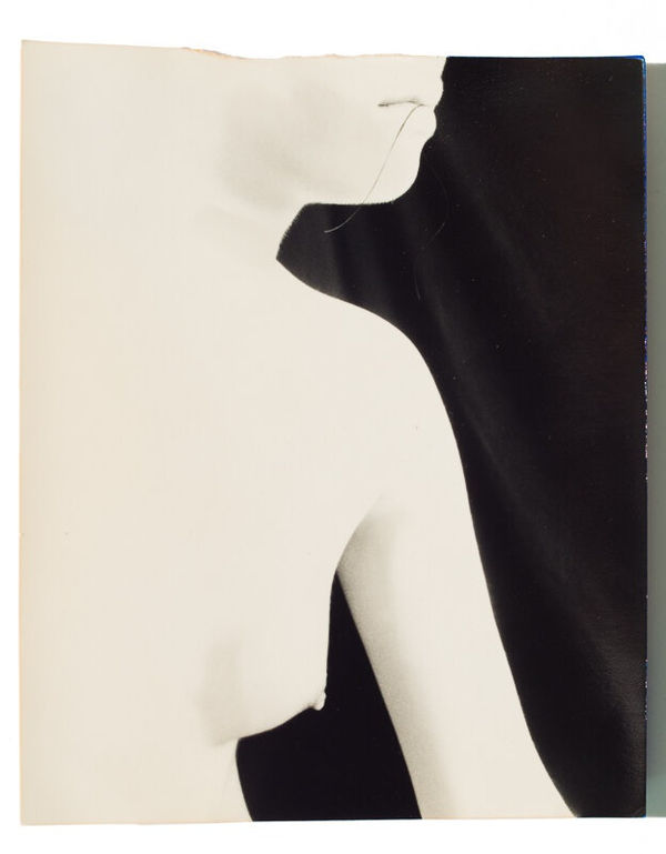 Yamamoto Masao - Kawa = Flow #1616, 2012