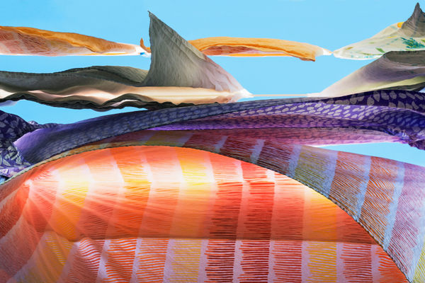 Sally Gall - Perserverance, 2022