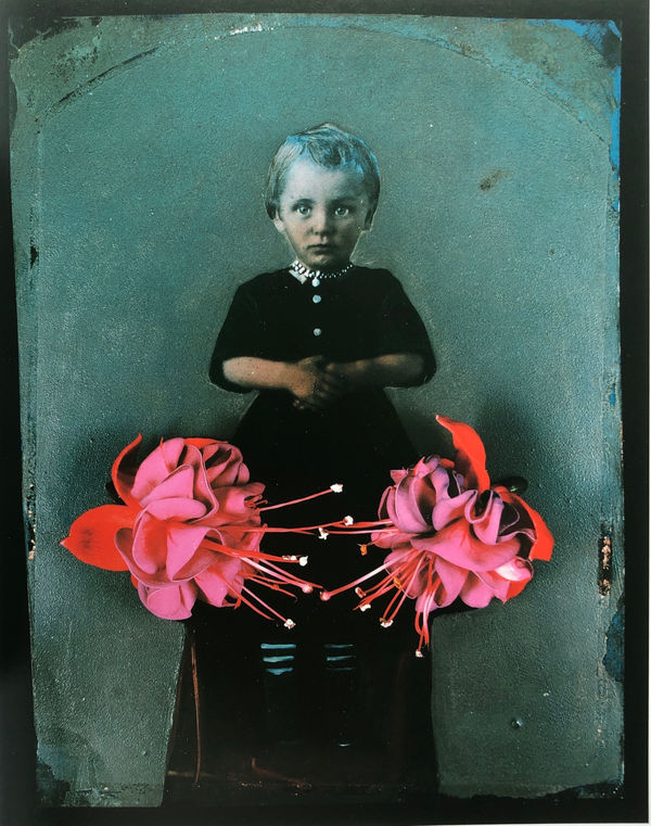 Olivia Parker - Blue Star, 2006