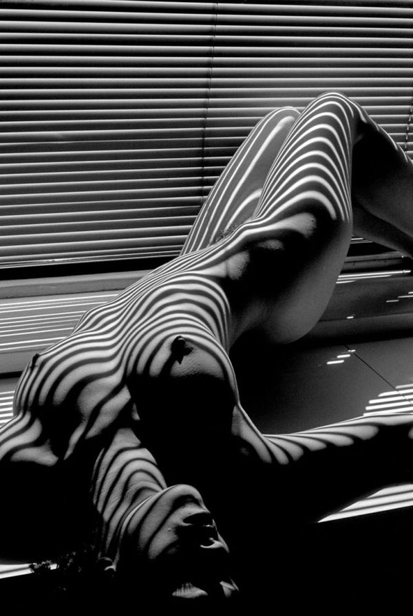 Lucien Clergue - Picasso #6 (La Colombe), January 9, 1949