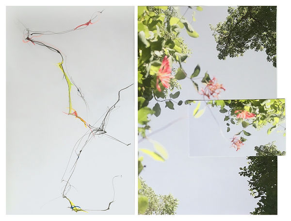 Sandi Haber Fifield - BE20_397, 2020