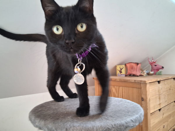 London Open Art Vision