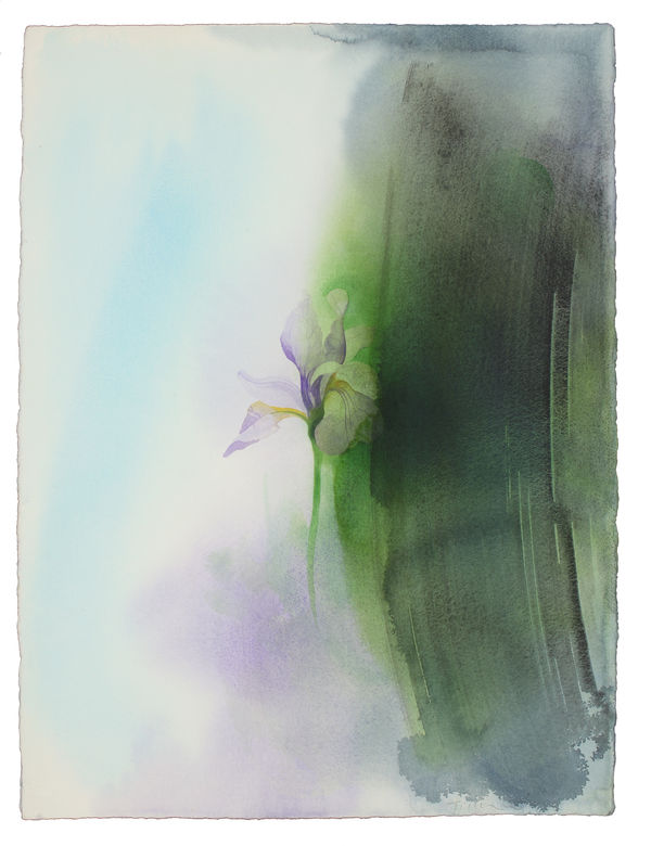 William Tillyer The Corsham Iris 2/3, 2019 Watercolour on Arches paper 76.5 x 57.8 cms (30 1/8 x 22 3/4 ins)