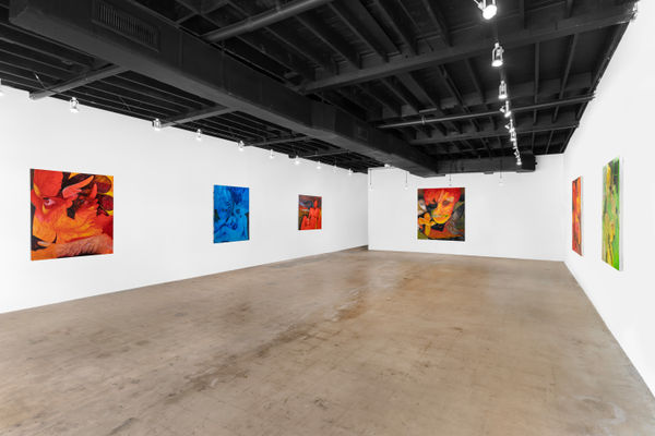 Jupiter Jade Thacker Personal Weather 2024 6