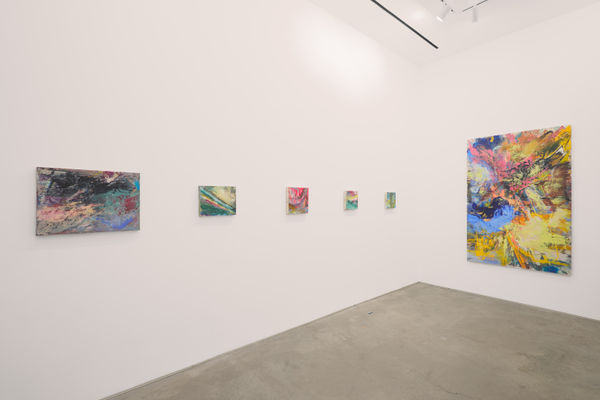 Jupiter Paul Verdell Installation 7