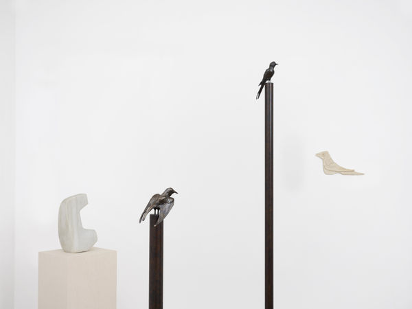 87163 High Res 20 Copy