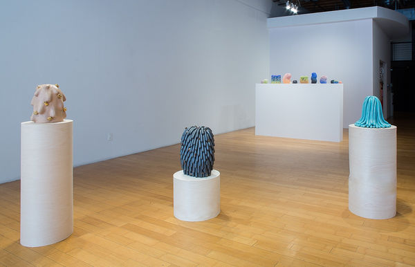 Lopez Stranger Install4 Web