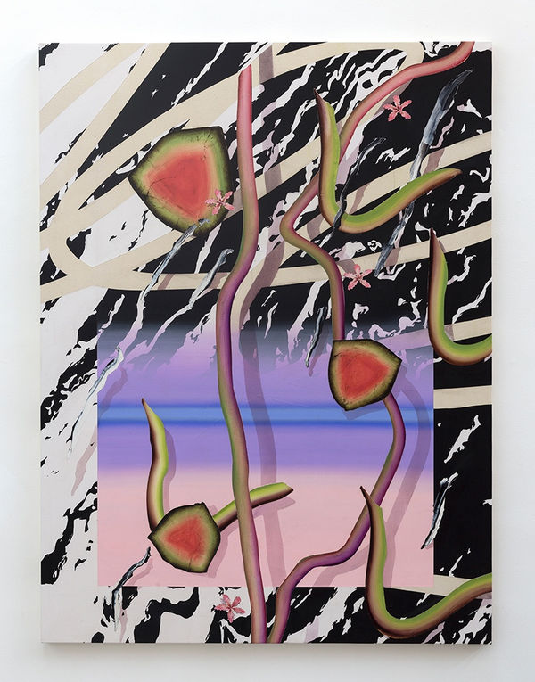 Bruno Novelli, Cachoeira Radiante, 2017