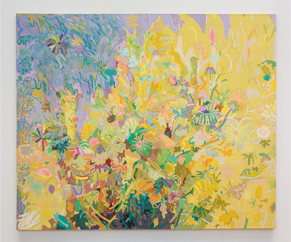 Leon Benn, Alpine Zone (Nelson Crag Trail), 2017