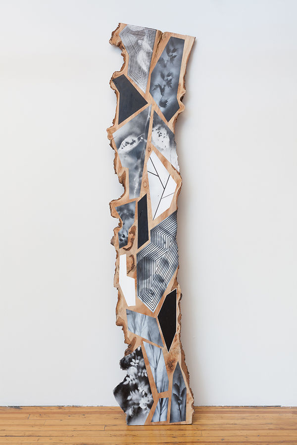 Jason Middlebrook, My Landscape, 2016