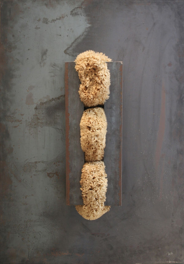 Kounellis | Beuys | Zangs