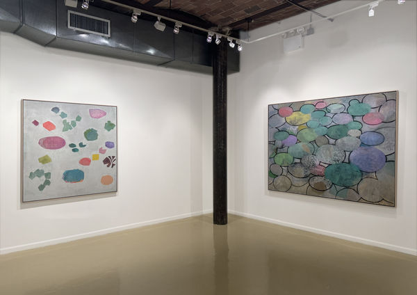 Installation View C