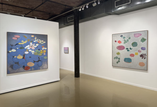 Installation View F