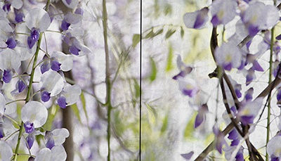 Susan Goldsmith, 40" x 70"