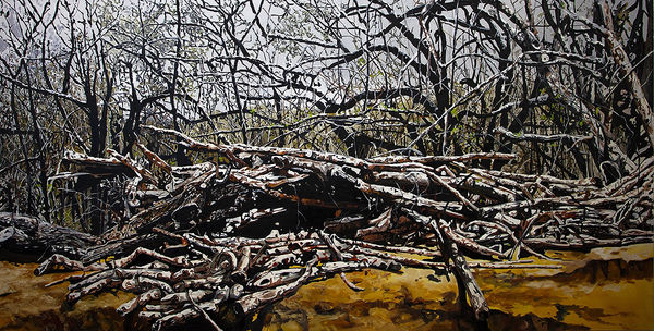 Eric Zener, 53" x 107"