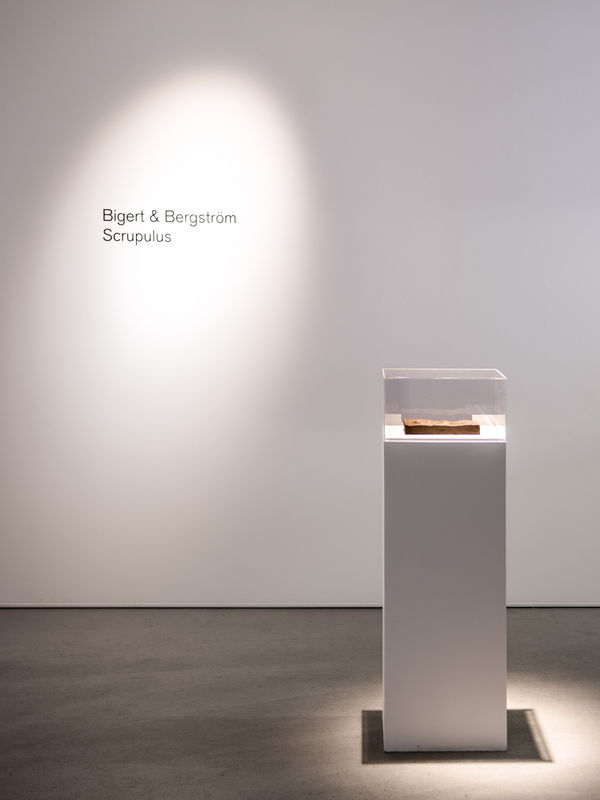 Installation view, Bigert & Bergström, Scrupulus, 2026, Cecilia Hillström Gallery. Photo: Jean-Baptiste Béranger.