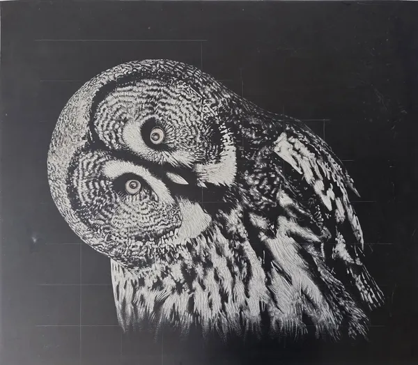 Owl linocut art print