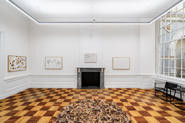 Borzo Hermandv Instal Webres Jdewaart 281021 12