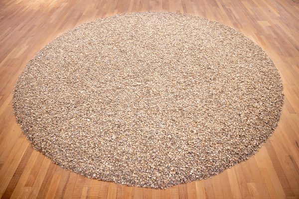 Vrs Cons 36 Herman De Vries Shells 2019 Cockels From The North Sea Diameter 500 Cm Foto Roel Backaert