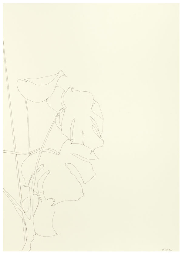 Ronald Zuurmond 25082018 2018 Ink On Paper 70X50 Cm Kopie