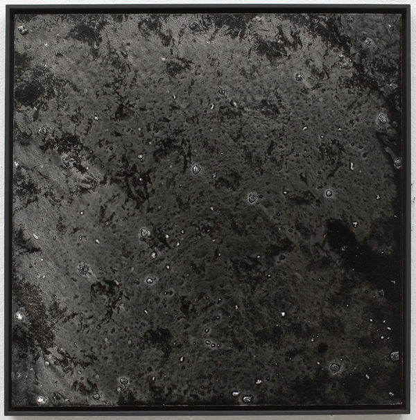 Nocturne 6 2016 Lacquer And Oil On Canvas 60 X 60 Cm Kopie