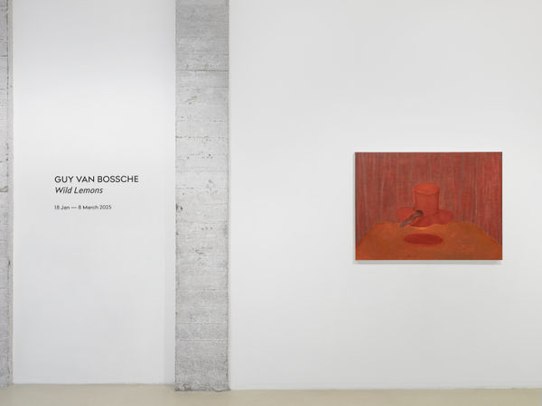 2025 01 16 Keteleer 8336 Web