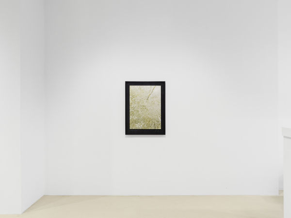 2025 03 14 Keteleer 9582