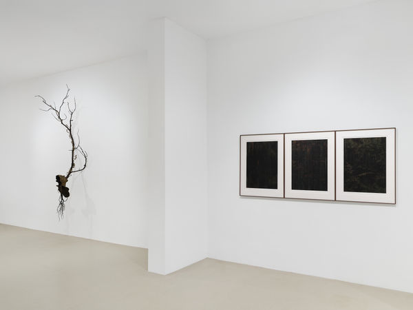 2025 03 14 Keteleer 9586