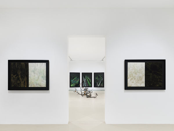 2025 03 14 Keteleer 9609