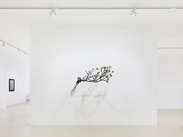 2025 03 14 Keteleer 9612