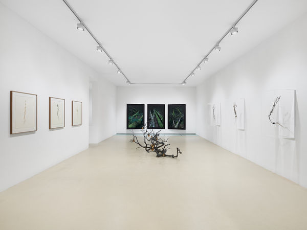 2025 03 14 Keteleer 9619