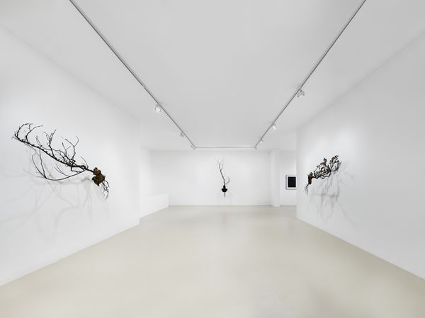 2025 03 14 Keteleer 9623