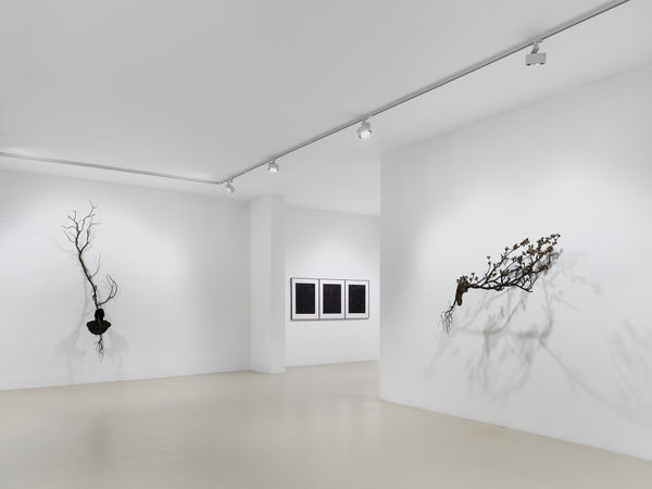 2025 03 14 Keteleer 9625