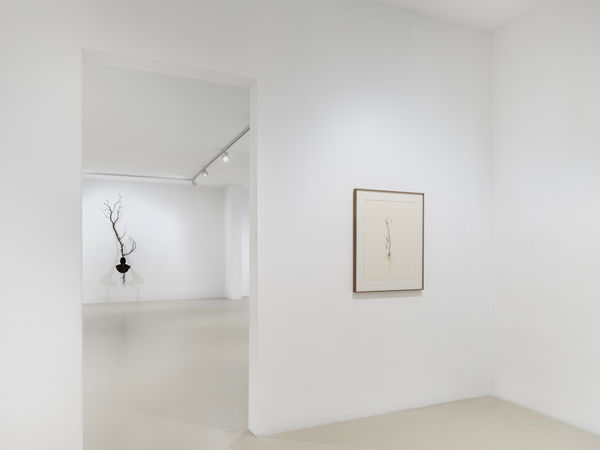 2025 03 14 Keteleer 9642