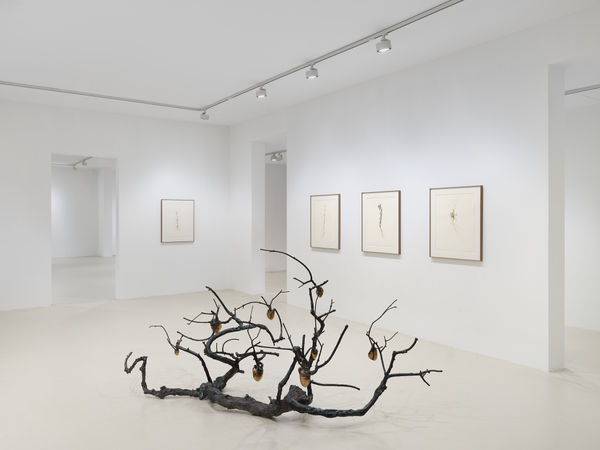 2025 03 14 Keteleer 9647