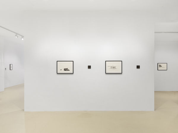 20251017 Keteleer5283 Web