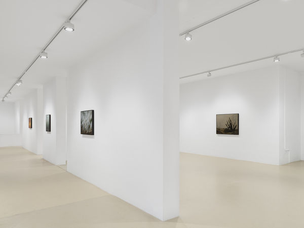 2026 03 05 Keteleer 10518 Web