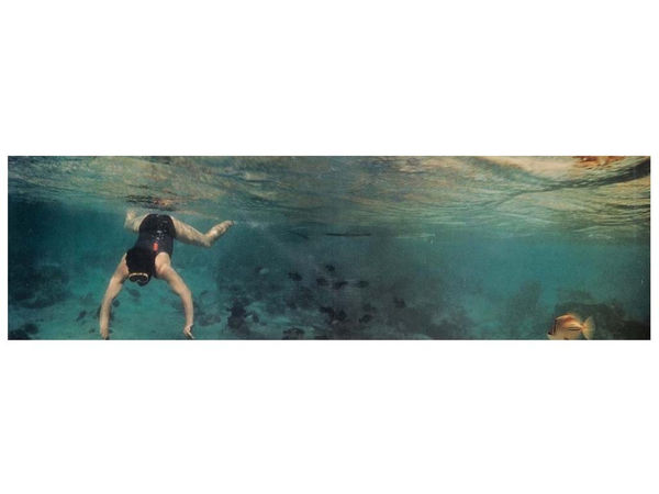 3185 Panamarenko Zoomshopcrop 3 4 2