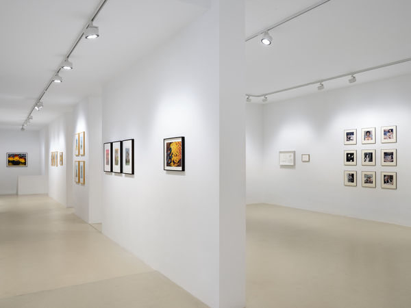 2023 06 30 Keteleer 4333 Web