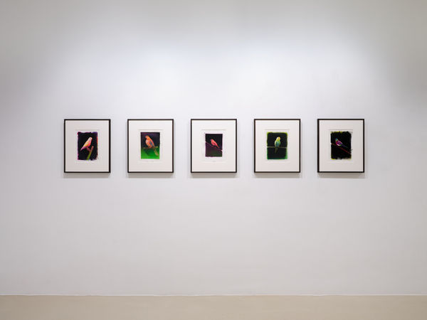 2023 06 30 Keteleer 4377 Web