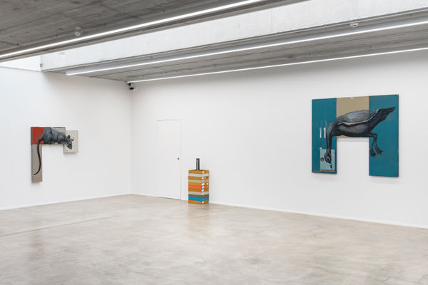 2309 Symbiosis Roa View 03 Dsc06808 Edit