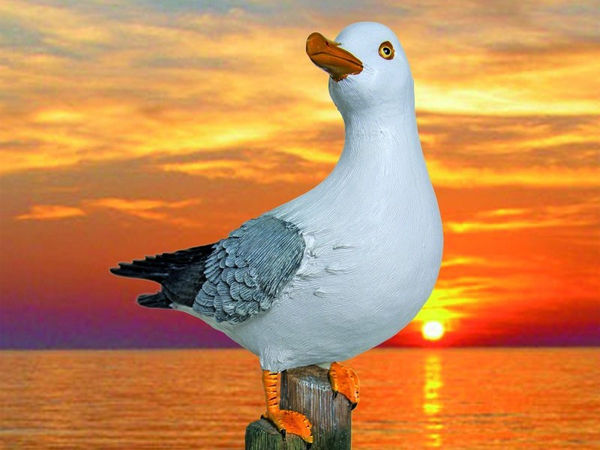 GUILLAUME BIJL AT ZWIN NATURE RESERVE (BE)