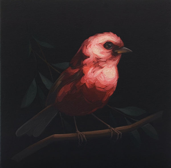 Darrell Underschultz