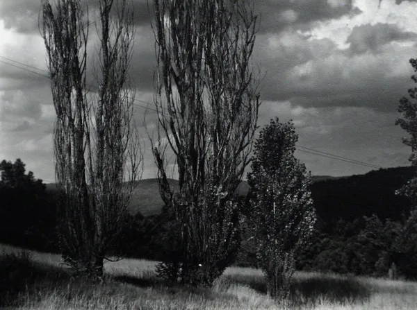 Alfred Stieglitz, Lake George, c. 1930s