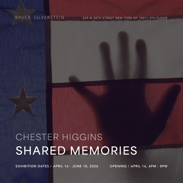 CHESTER HIGGINS: SHARED MEMORIES