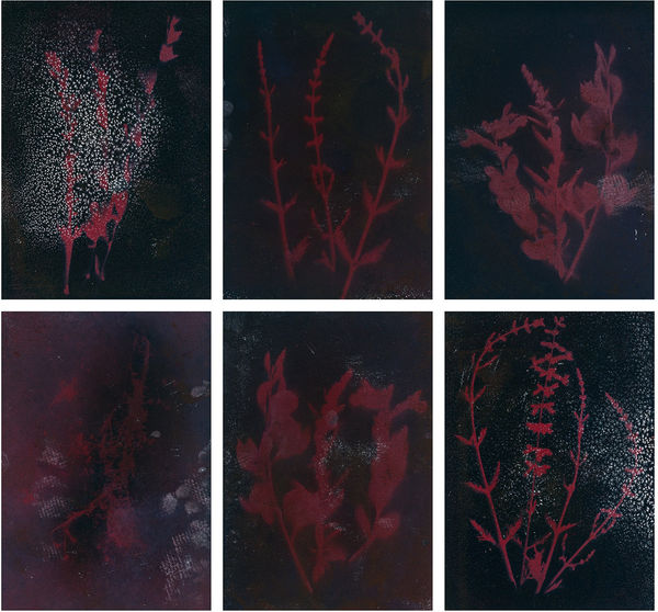 Dakota Mace, Tozodizin (Prayer) Dahodiyinii (Sacred Places), 2021