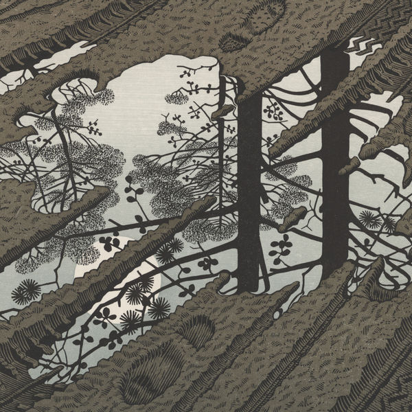 Puddle, 1952