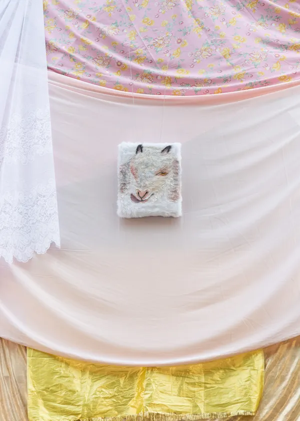 Paula Parole, Climb Where Others Fall, 2026